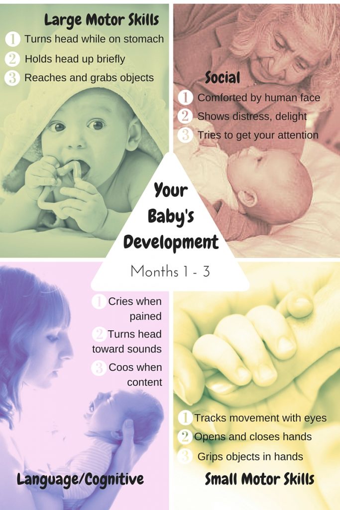 Babies develop in four areas: social, language/cognitive, large motor skills, and small motor skills. This inforgraphic lists a key developmental milestone in each area during baby's first three months.