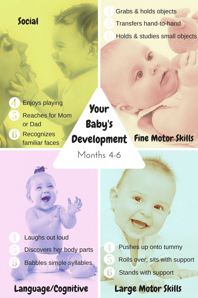 Developmental Milestones Month 4-6 Infographic