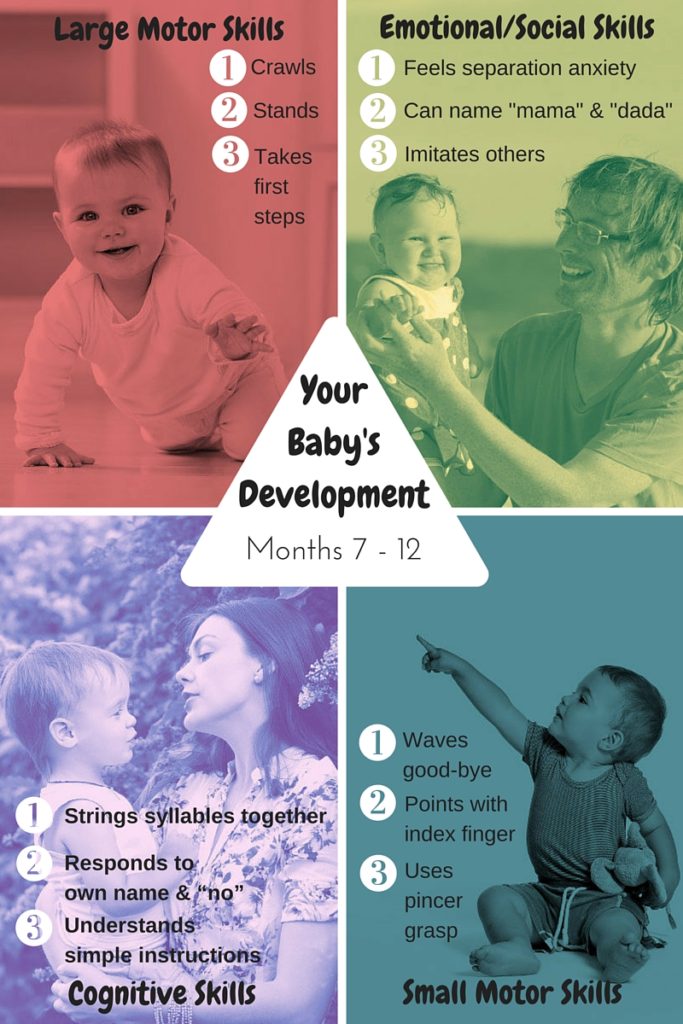An infographic listing some of the many developmental advances your child makes from 7 to 12 months.