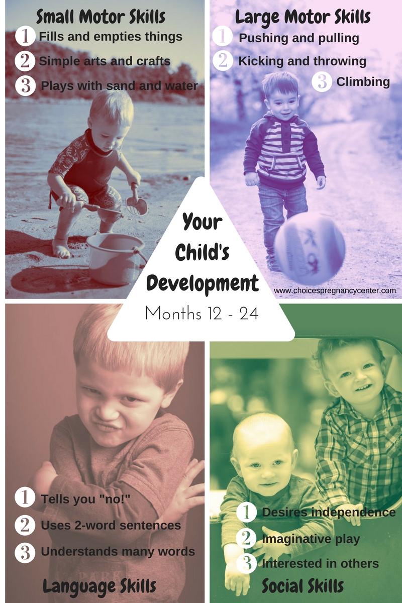 Infographic lists several key milestones in a child's development from months 12 to 24.