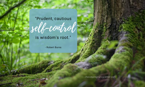 "Prudent, cautious self-control is wisdom's root." -Robert Burns